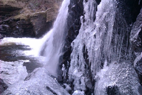 nature glaciale par Alyson Robinson