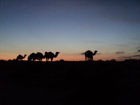 Crépuscule saharien
