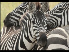 Moment de détente