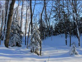 Paix hivernale