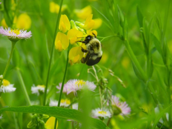 Une belle richesse par Marie-Eve Roussel